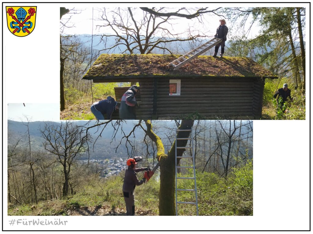 Fotocollage vom Arbeitseinsatz an der Jo-Phi-Mi am 02.04.2024